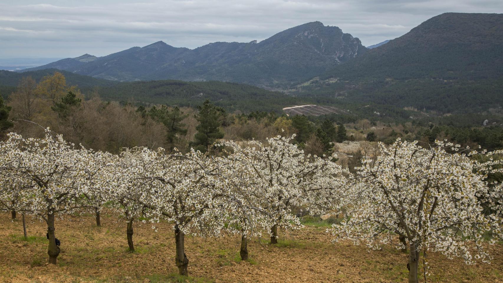El valle de las Caderechas, en la provincia de Burgos