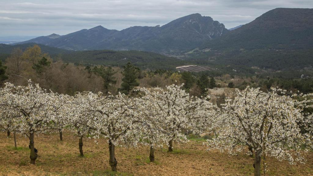 El valle de las Caderechas, en la provincia de Burgos
