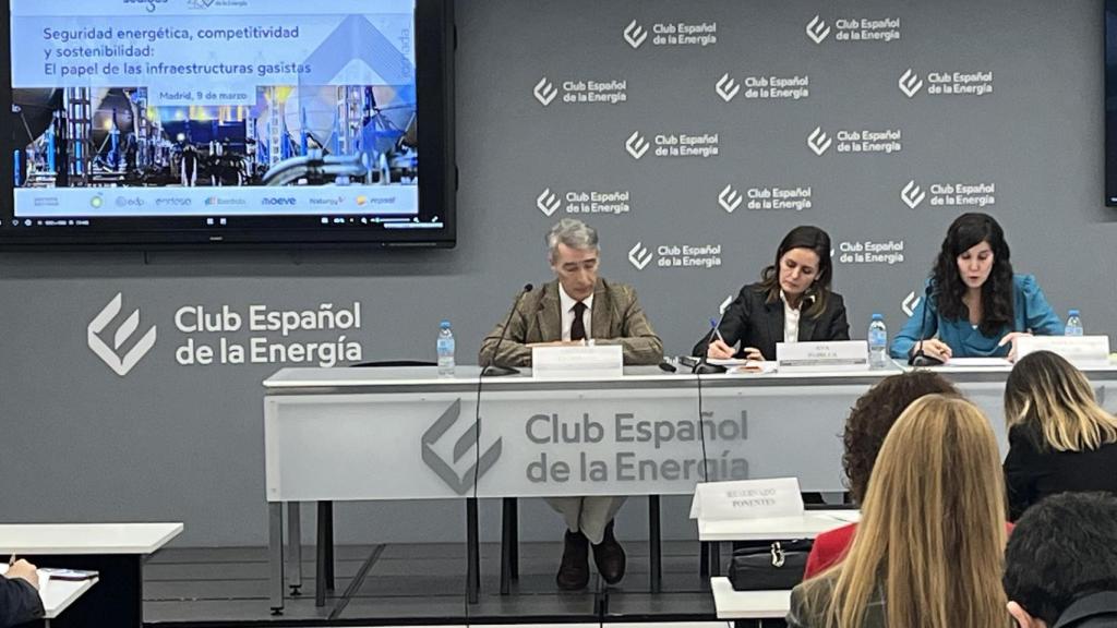 Gonzalo Escribano, investigador principal y director del Programa Energía y Clima del Real Instituto Elcano, en Enerclub.