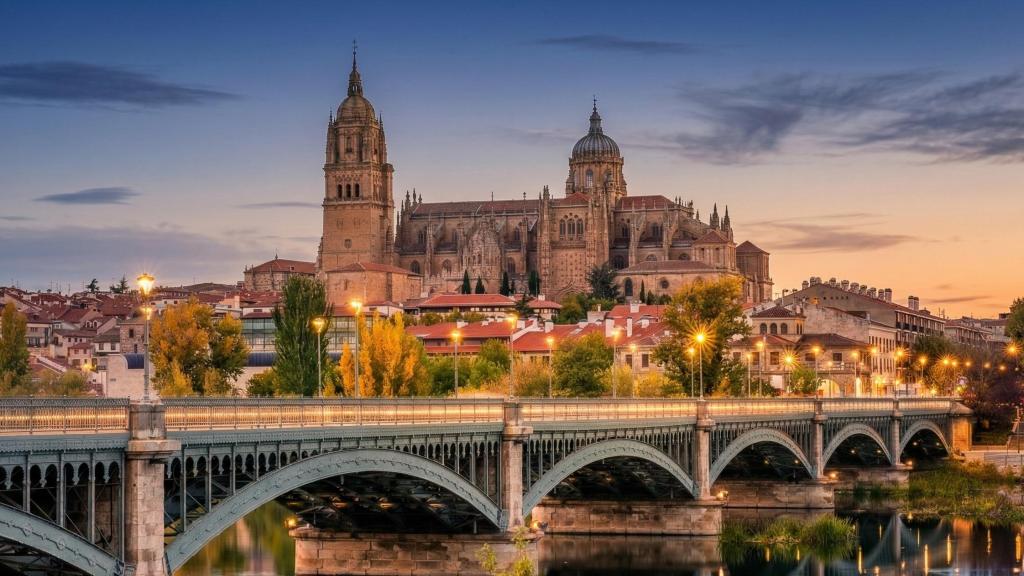 Al fondo, el Palacio de Monterrey, en Salamanca.