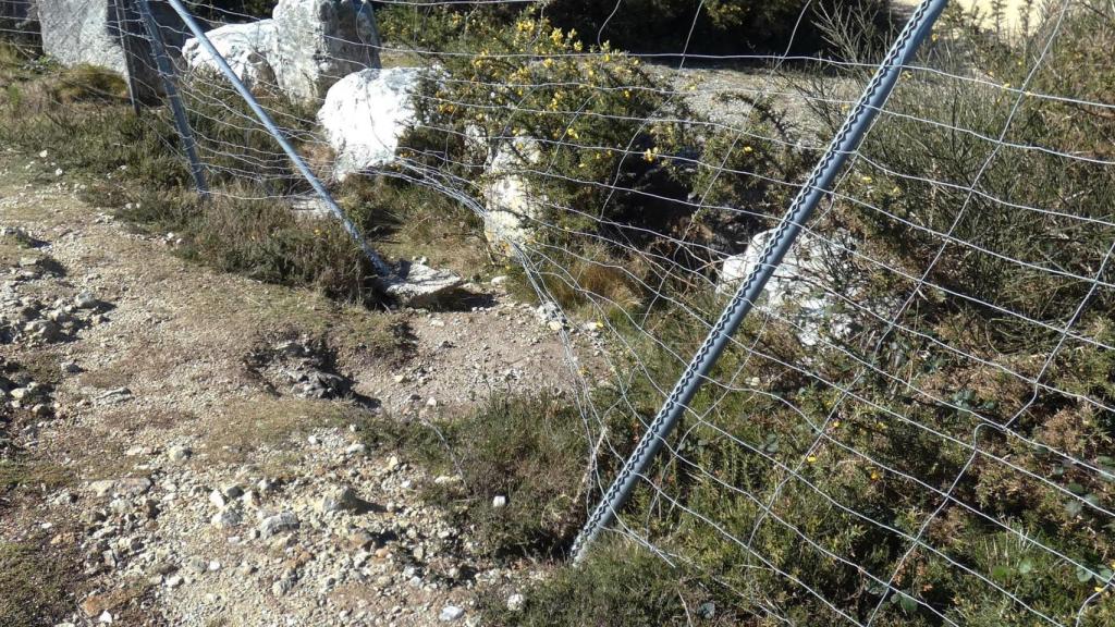 Cierre perimetral roto en Monte Neme.