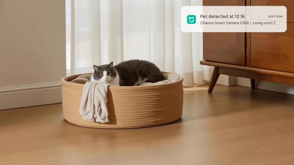 Detección de mascotas en la Xiaomi Smart Camera C302
