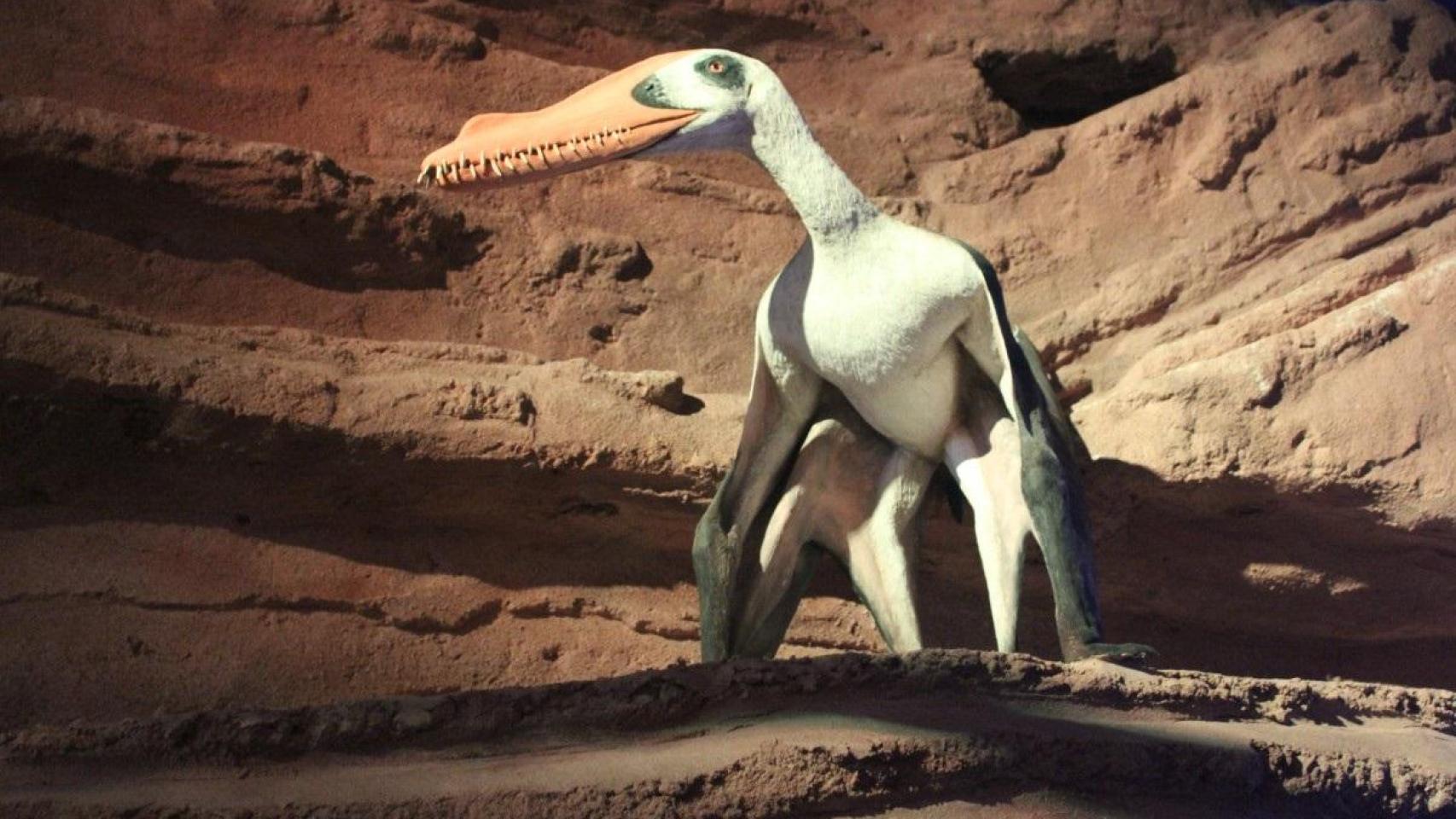 Corpóreo del pterosaurio ‘Iberodactylus’ en el recorrido de Mar Jurásico.