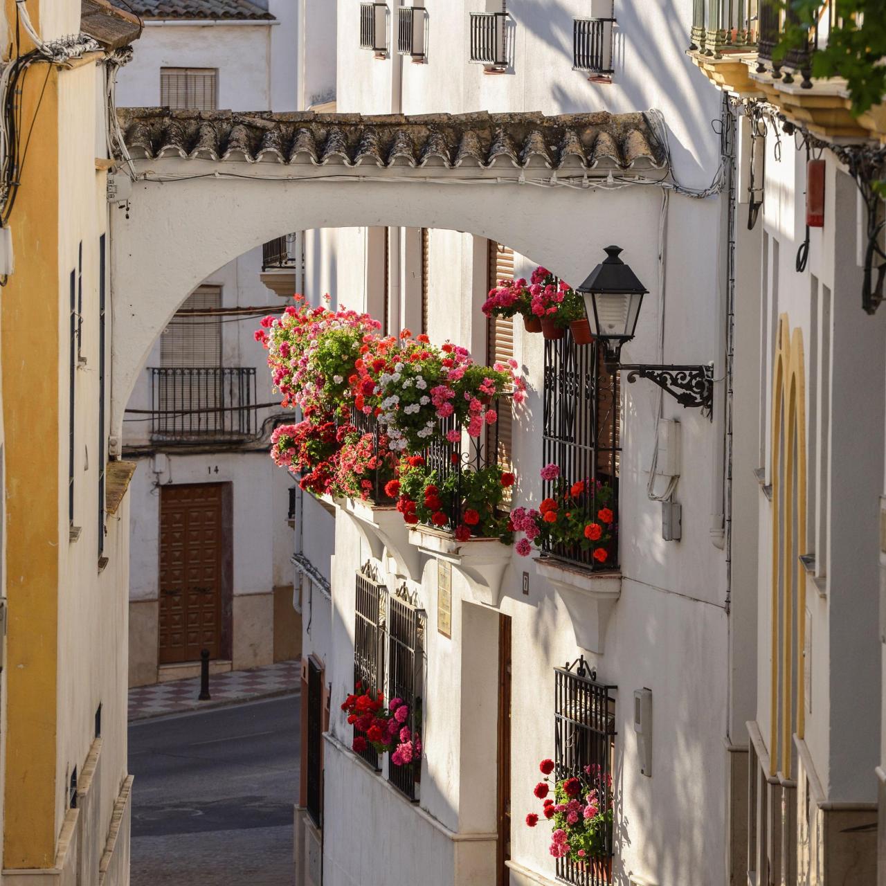 Casas típicas del barrio del Cerro en Cabra.