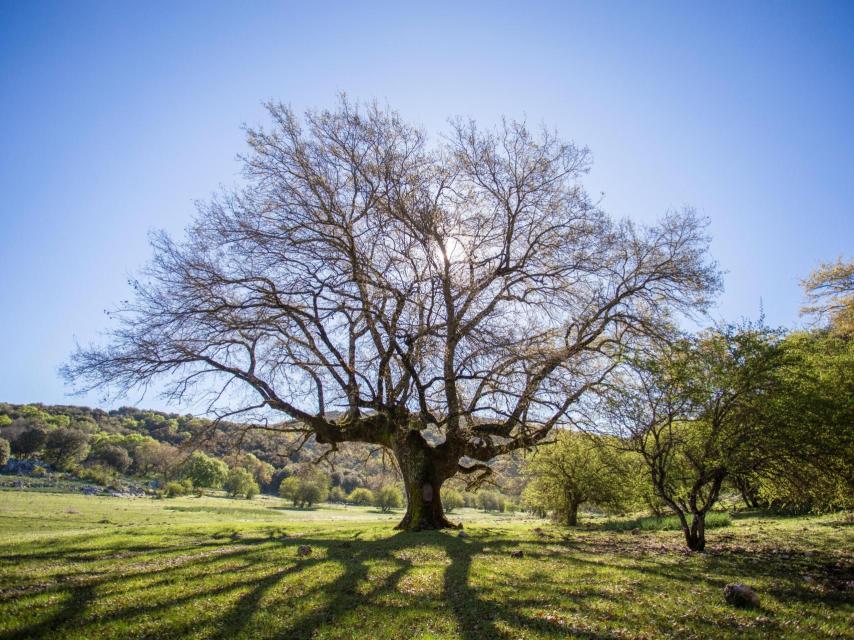 La zona de La Nava.