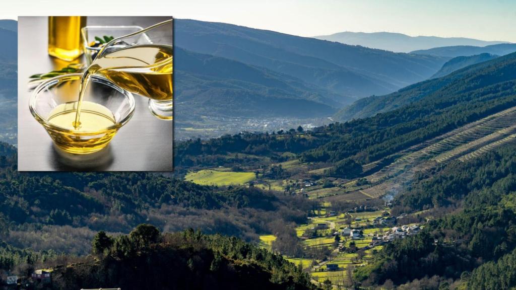 Aceite y un paisaje de fondo