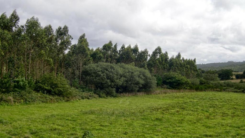 Terreno con casa a la venta