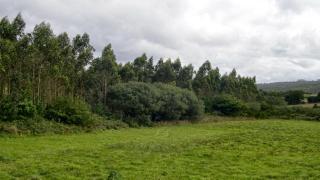 Terreno con casa a la venta