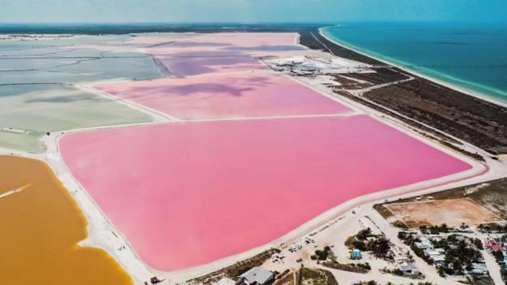 Las Coloradas, en la Península de Yucatán, México.