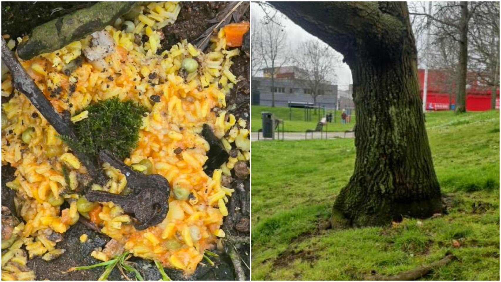 Cebo para perros en el parque de Vioño