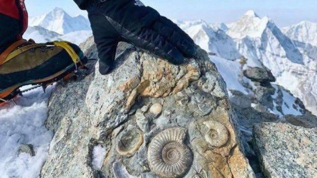 La conexión del Monte Everest con el fondo del mar.