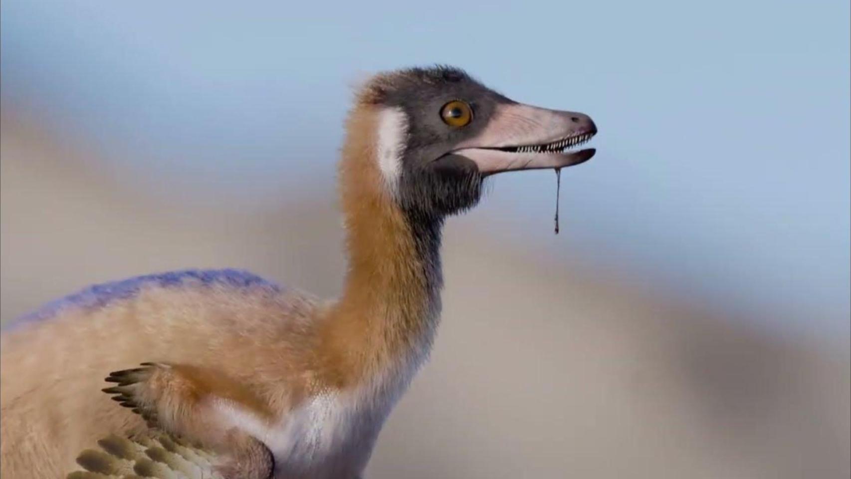 Ni gigantes ni colosos: este 'mini T. rex' obliga a reescribir la historia de los grandes depredadores
