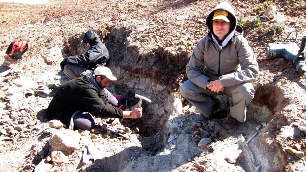 Labores de excavación paleobotánica en el yacimiento La Flecha, donde se encontraron las flores estudiadas..
