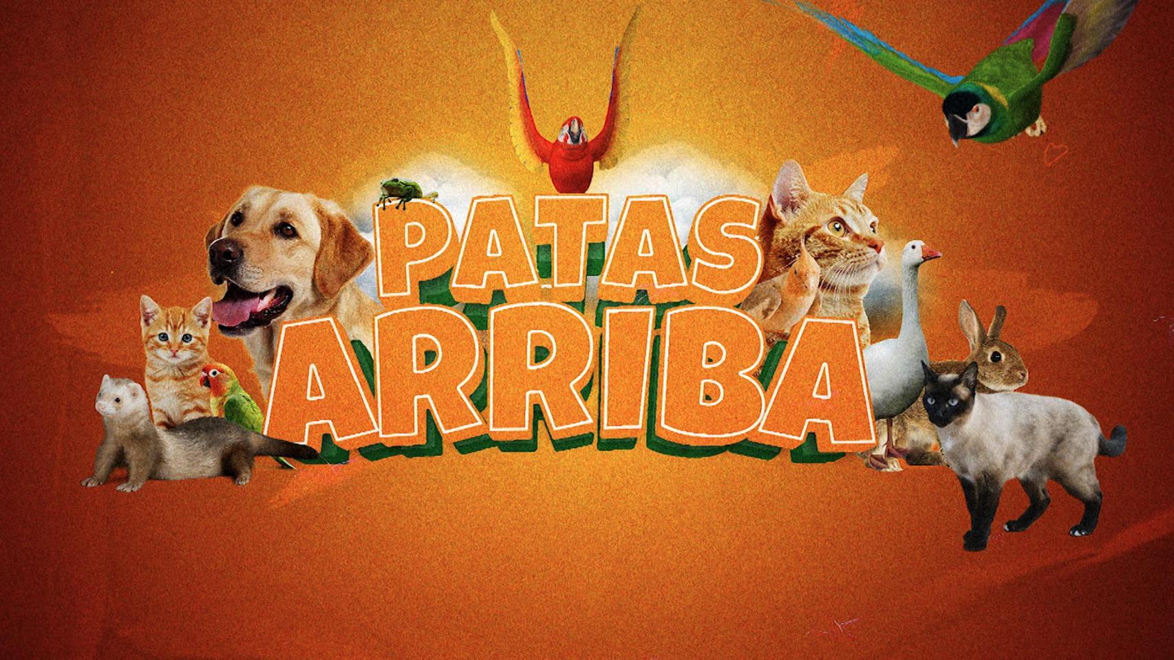 El nuevo logo de 'Patas Arriba', el programa de bienestar animal de Canal Sur.