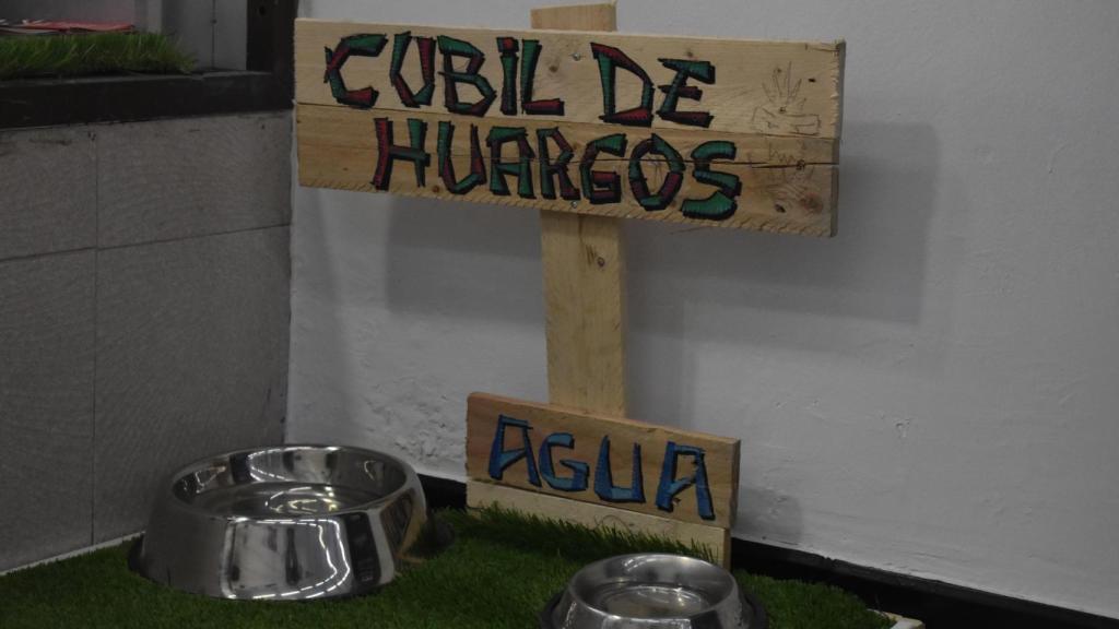 Isengard es un local 'petfriendly'