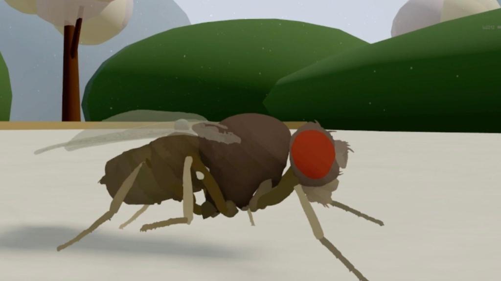 Imágenes de la mosca en el entorno virtual.