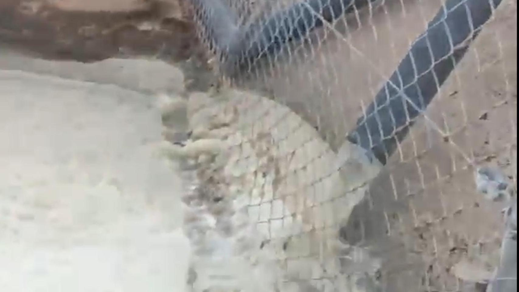 Vertido ilegal de purines al Mar Menor lleva a denuncia contra Los Chengos S.L: Lo que veo no da ganas de meterse al agua.