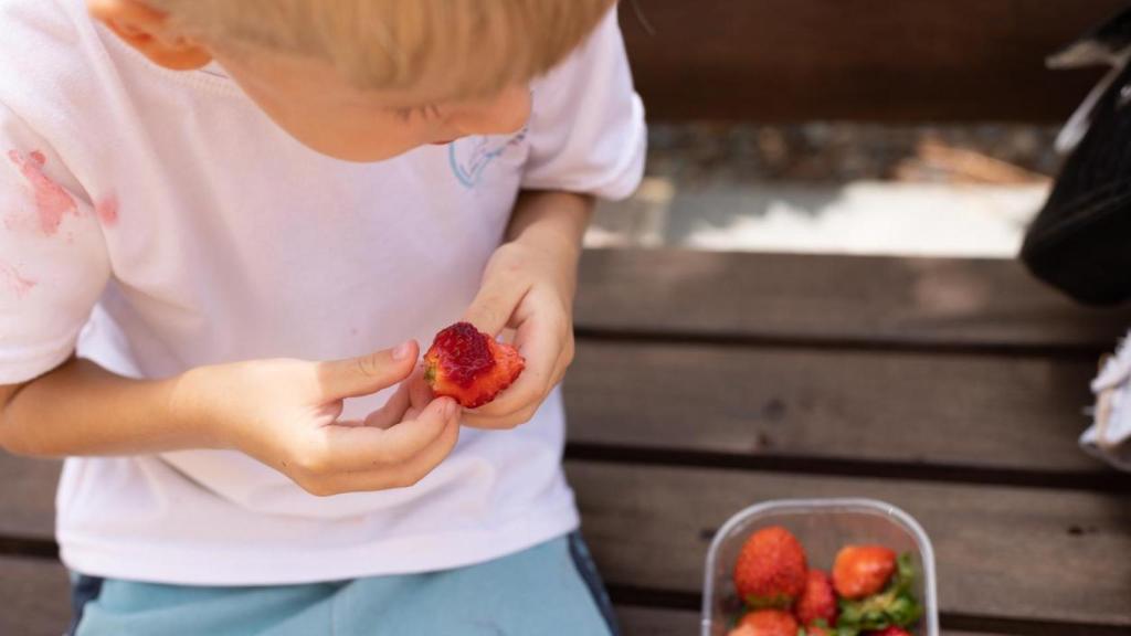 Un niño comiendo fresas y dejando rastro en su ropa.
