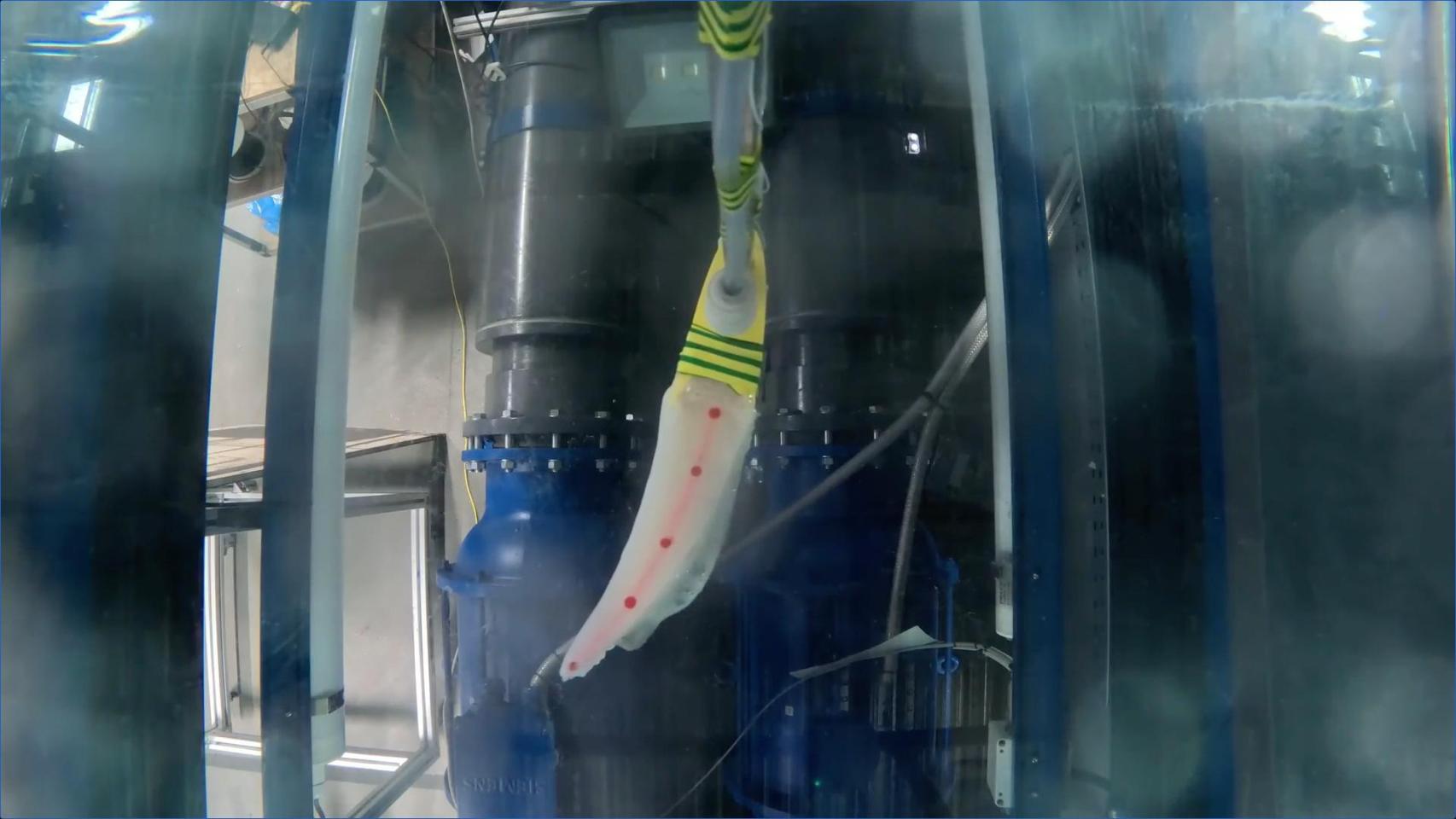 Pruebas de la aleta artificial en un tanque
