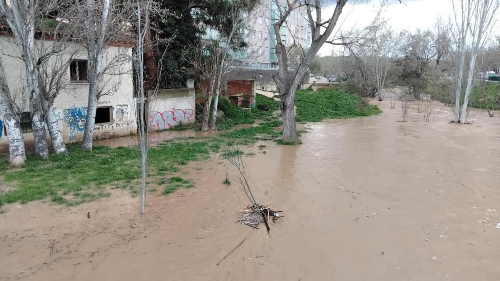La parcela en cuestión.