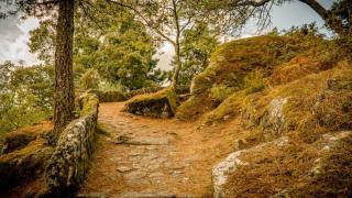 Monte Aloia, en Tui (Pontevedra)