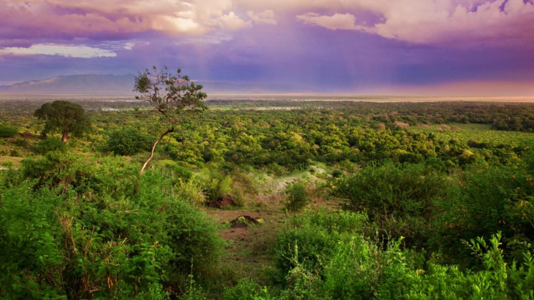 Científicos confirman la existencia del Sáhara Verde y cambian la historia del desierto para siempre gracias a una cueva