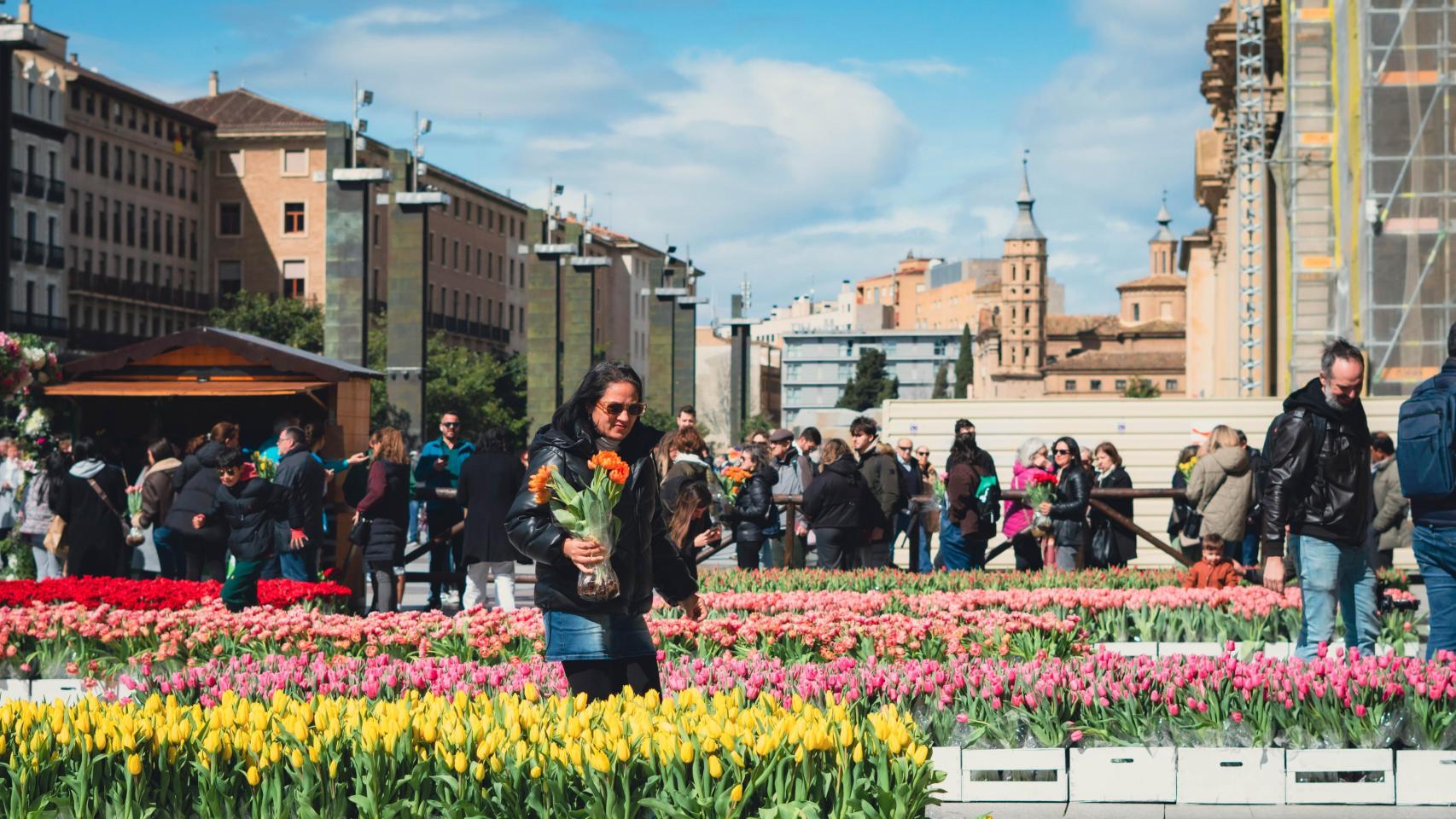 Mercado de tulipanes del Hola Primavera.
