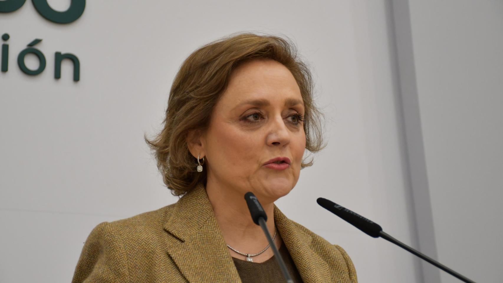 Soledad de Frutos, portavoz y diputada provincial de Presupuesto, Hacienda y Promoción Económica.