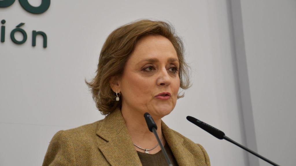 Soledad de Frutos, portavoz y diputada provincial de Presupuesto, Hacienda y Promoción Económica.