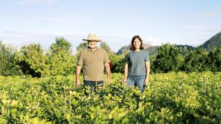 Ana Climent, la agricultora valenciana que busca 'salvar' el 'cacau de collaret': Pensé que los del súper estaban caducados