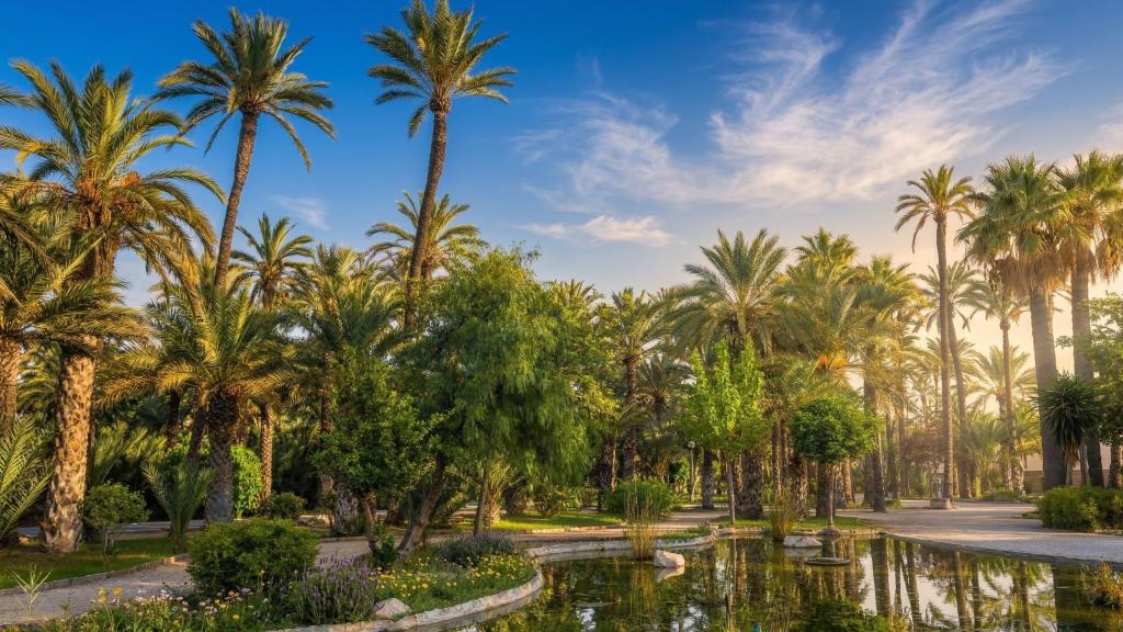El Palmeral de Elche, en Alicante (Comunidad Valenciana).