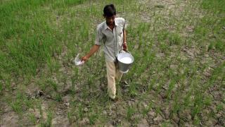 Un agricultor esparce urea en su campo en la ciudad de Simbhaoli, en India.