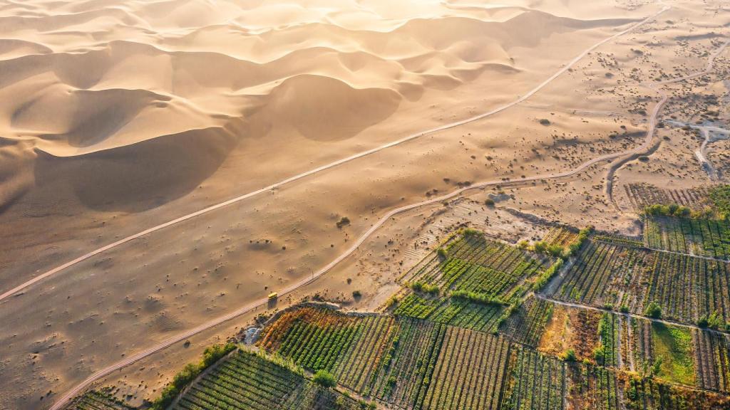 China convierte el desierto en zonas verdes.