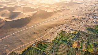 China convierte el desierto en zonas verdes.