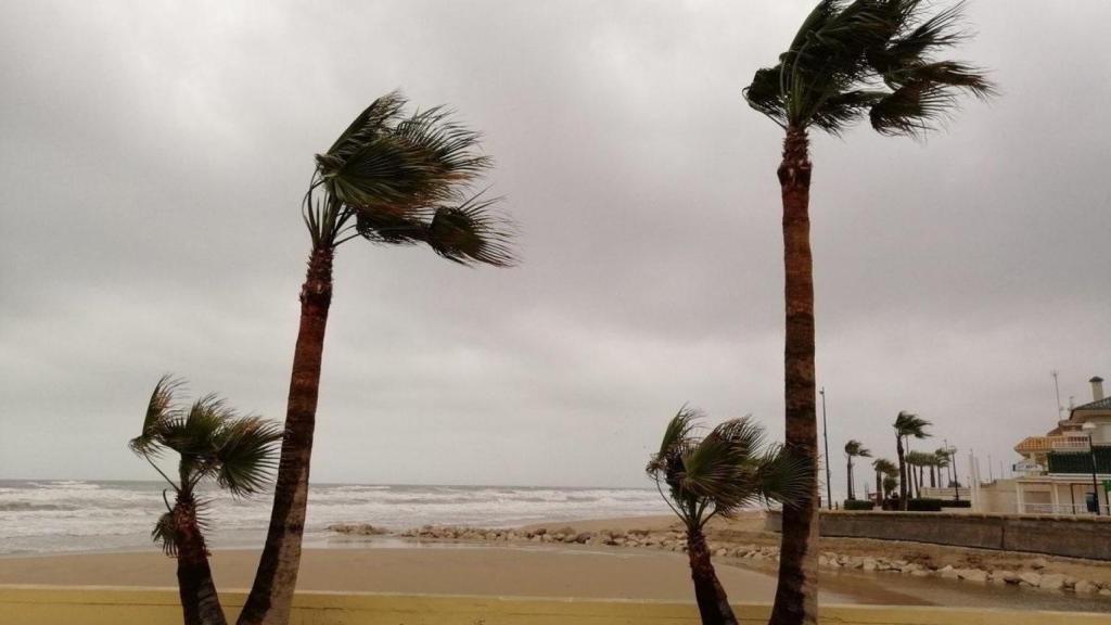 Vientos en el litoral. Aemet