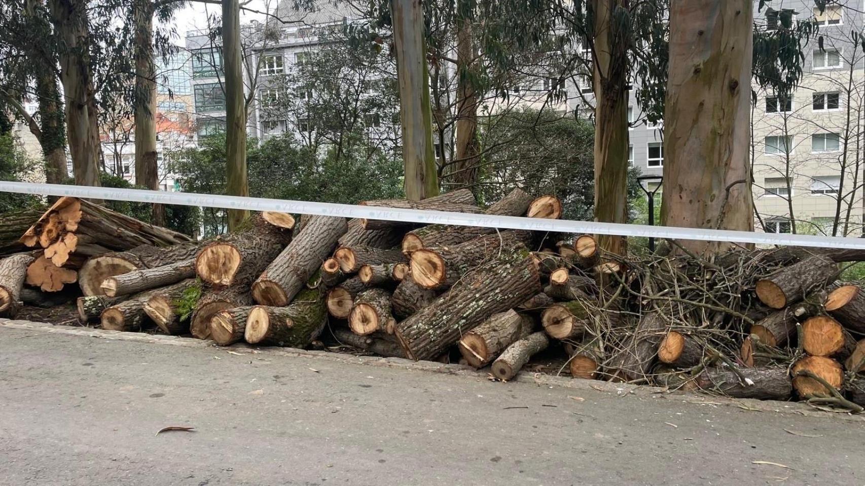 Vecinos de Santa Margarita, en A Coruña, denuncian la tala de árboles y el Concello defiende la medida