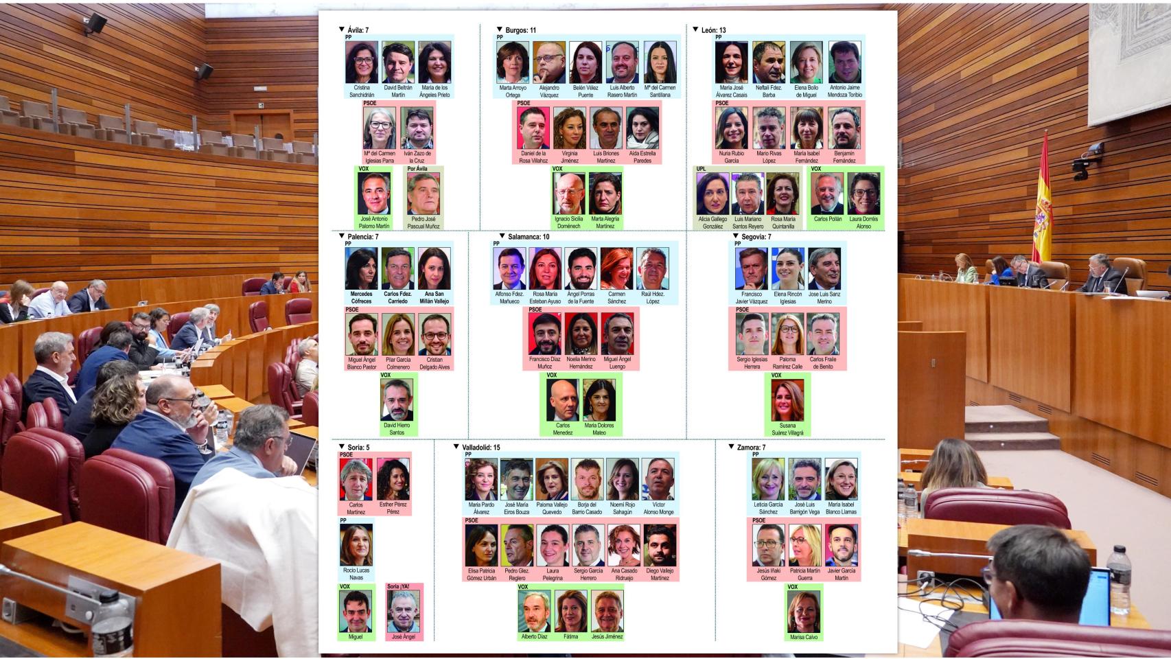 los 82 nuevos procuradores de las Cortes de Castilla y León