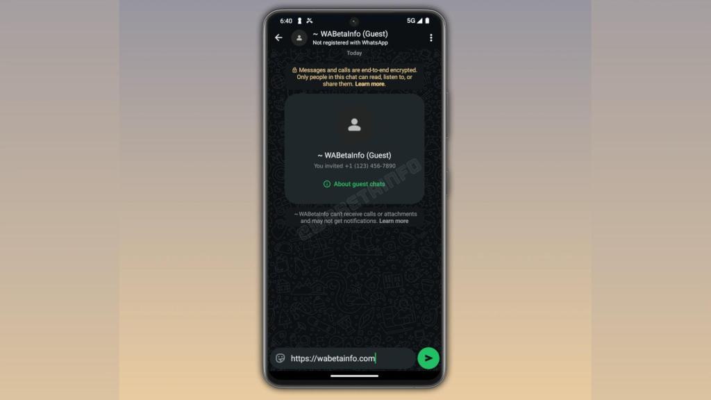Chat de invitado de WhatsApp