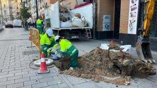 Los trabajadores de parques y jardines, durante la plantación de árboles en avenida César Augusto.