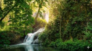 La ruta de senderismo del Monasterio de Piedra, en Zaragoza.