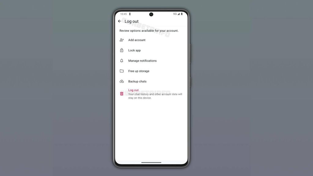 La nueva función de WhatsApp para cerrar sesión sin borrar la app.