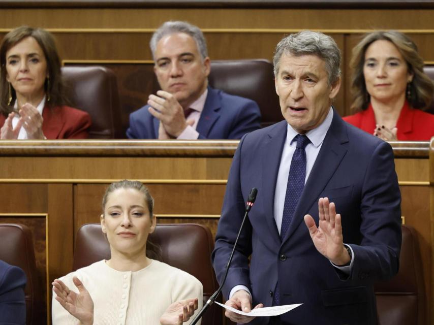 El líder del PP, Alberto Núñez Feijóo, durante su intervención en una sesión de control en el Congreso.