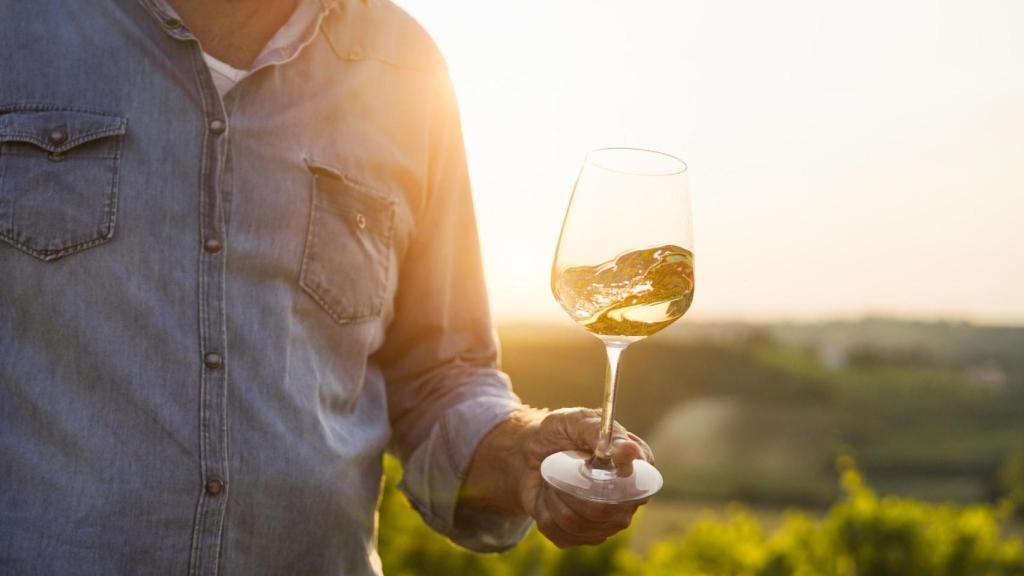 Imagen de archivo de una copa de vino blanco