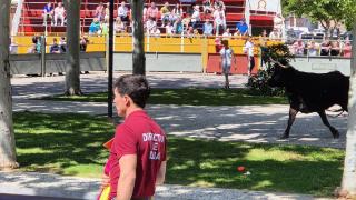 Un festejo taurino celebrado en Villanueva de Gállego