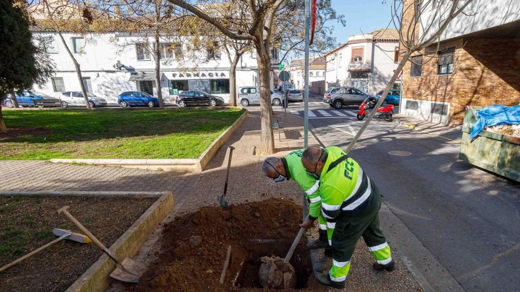 Los trabajadores de Parques y Jardines, en imágenes de archivo.