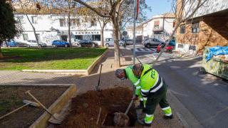 Los trabajadores de Parques y Jardines, en imágenes de archivo.