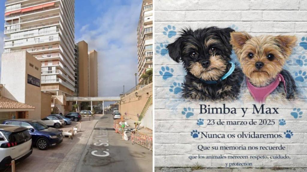La calle Sol Naciente, donde ocurrieron los hechos, y una imagen de IA con un mural propuesto por la asociacion SOS Ayuda Animal.