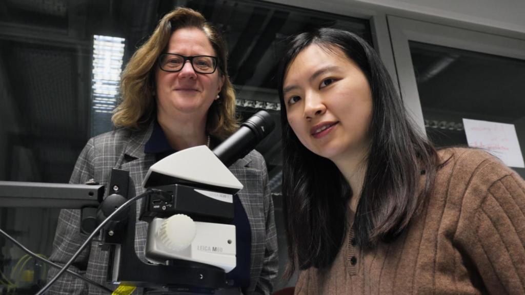 Isabella Gallino (izquierda) y Ziyu Ling (derecha) forman parte del proyecto de investigación AM2SoftMag.