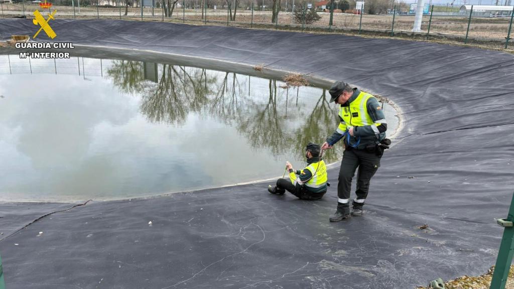 Rescate de la Guardia Civil de una alberca en Fuensalida.