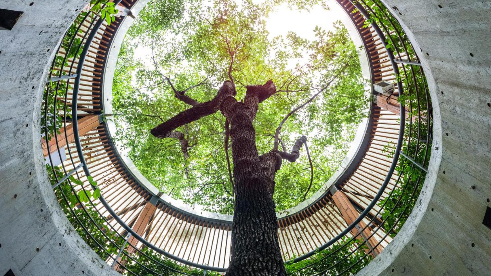 Edificio con diseño ecológico.